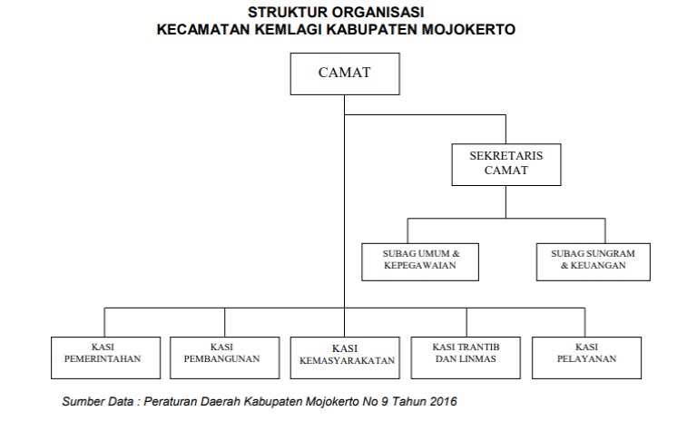 Struktur Organisasi